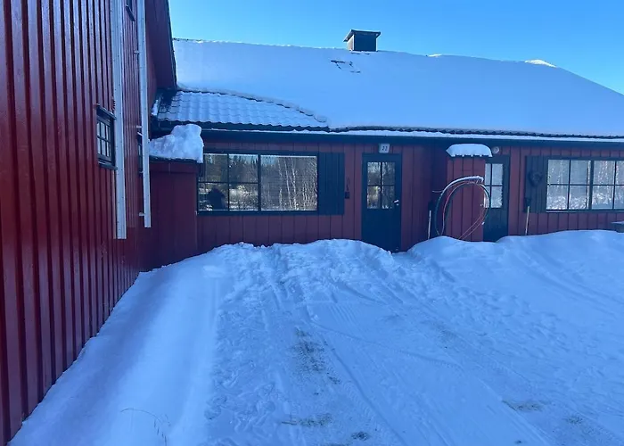 Apartamento At Golsfjellet Gol