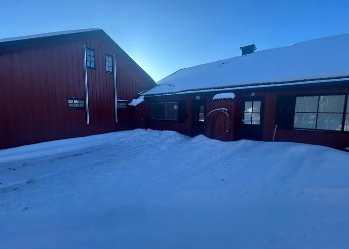 At Golsfjellet *